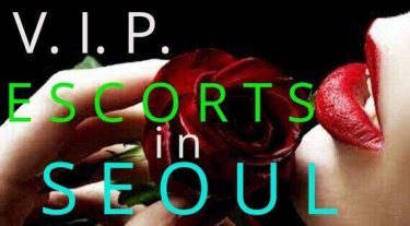 seoul escorts